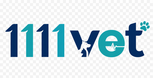 1111 vet